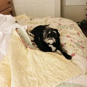 She lets me share her bed...