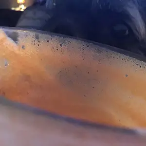 Dog eyes juice