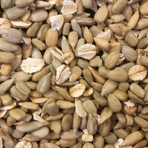 Toasted sunflower seeds and oats