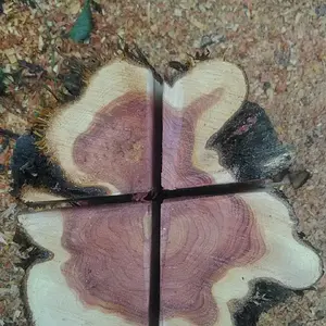 Cedar log torch.