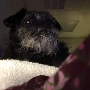 Sammie's serious face