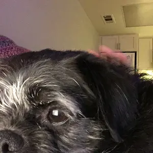 Sweetest face in the world