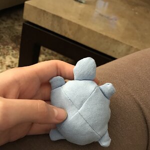Tiny turtle 2