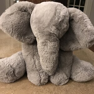 My elephant