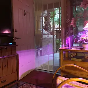 View from my recliner