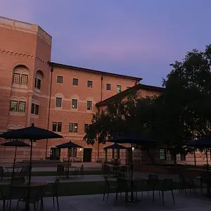 Rice at dusk