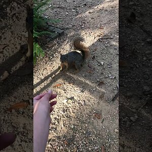 Just give me the damn cashew