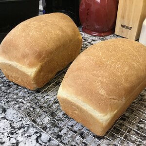 Baked bread fresh out of the pans