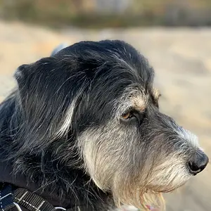 Anna Mae at the Beach