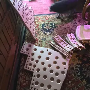 Beginning Doggie Steps assembly