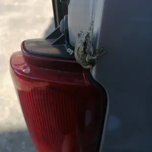 Van visitor.