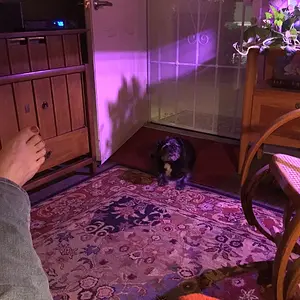 Samantha at night, and my big foot