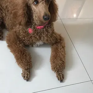 20180307_184244445_iOS