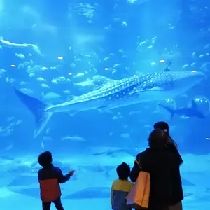 Whale shark