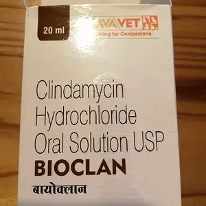 Doggy antibiotics