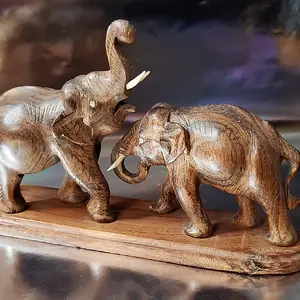 The elephants