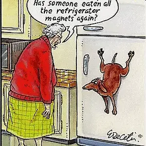 Fridge Magnet Dog