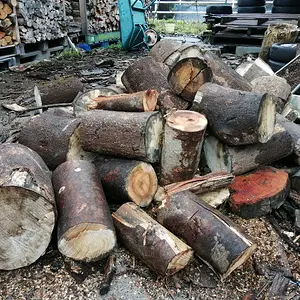 A few days worth of wood to split.