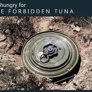 Tinned