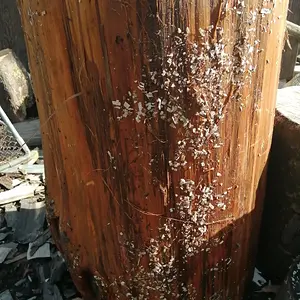 Splitting log vertically.