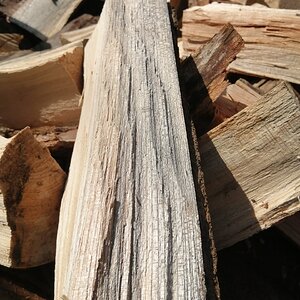 Zelkova wood grain
