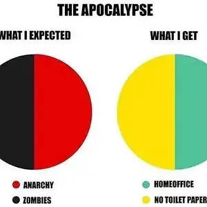 Apocalypse (COVID-19)