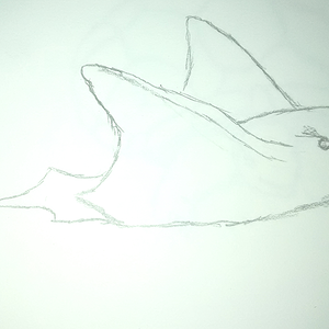 Ray