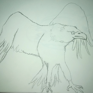 Raven