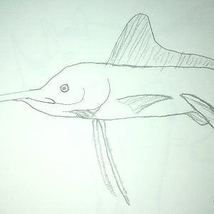 Marlin