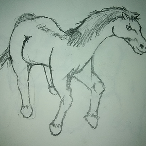 Horse