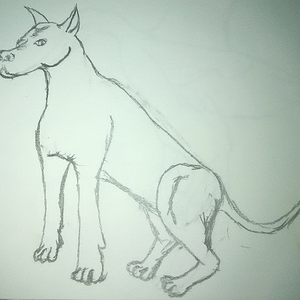 Dog 1