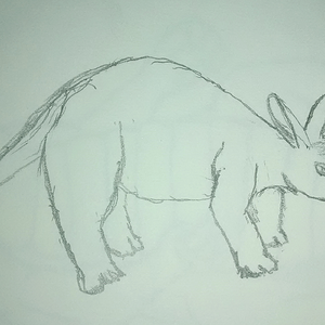 Aardvark
