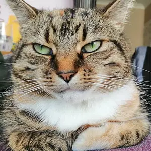 She's a loaf