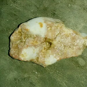 Cherted Fossilized Coral 01