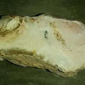Metamorphic Chert With Fossils 02