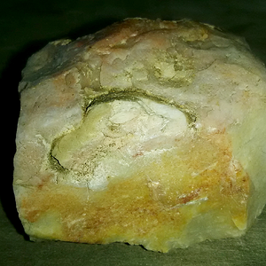 Metamorphic Chert With Fossils 01