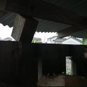 Need to reinforce my wood shelf roof!