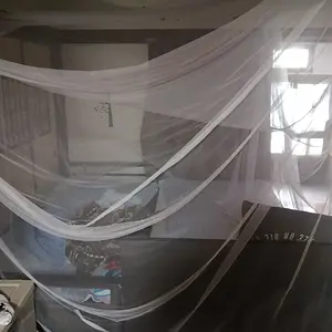 The bug net