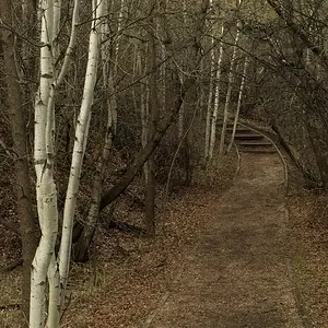 Flat before the climb