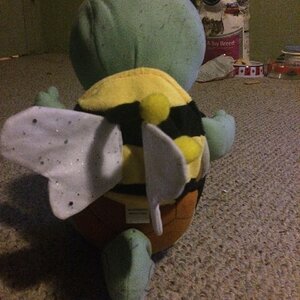 Squirtle wanted to be a bee for halloween