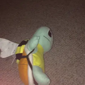 Squirtle wanted to be a bee for halloween