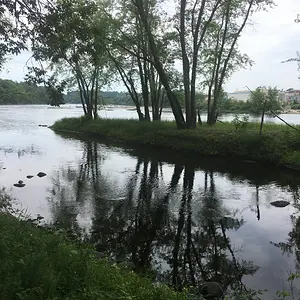 Island left