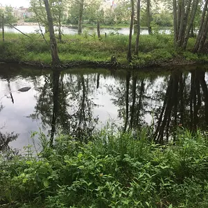 Island middle