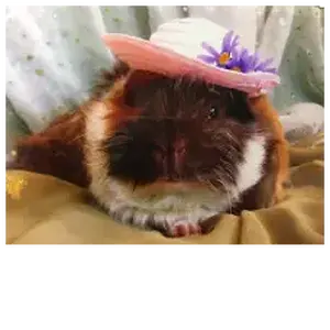 MissMarthaHat