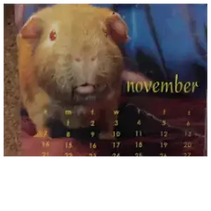 WalterPCalendar