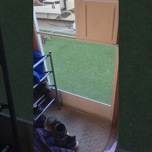 Bearded Dragon wants out