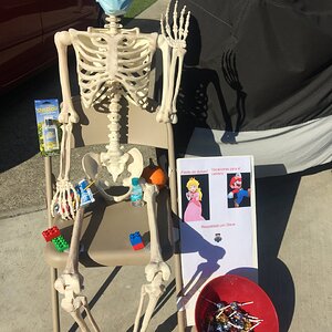 Skeleton with Candy for Halloween