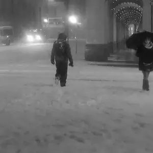 Evening Snowfall