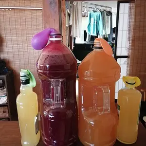 Berry, apple, and pineapple wine beginning to ferment!