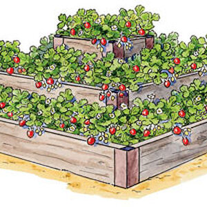 Idea for a strawberry raised bed.